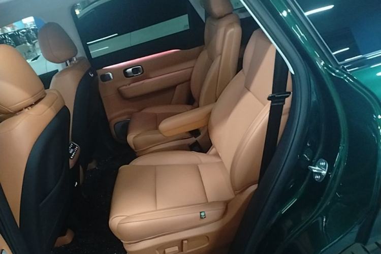 Used Leapmotor C16 2024 Range-Extended 200 Luxury Edition Left Rear Seat