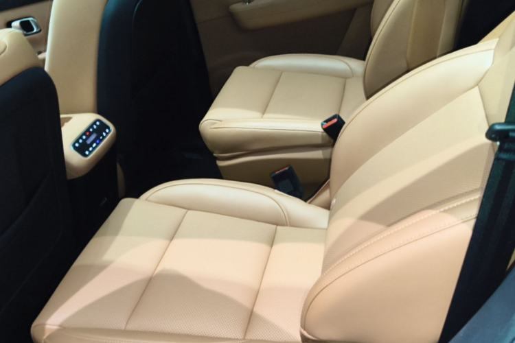 Used Leapmotor C16 2024 Range-Extended 200 Luxury Edition Left Rear Seat