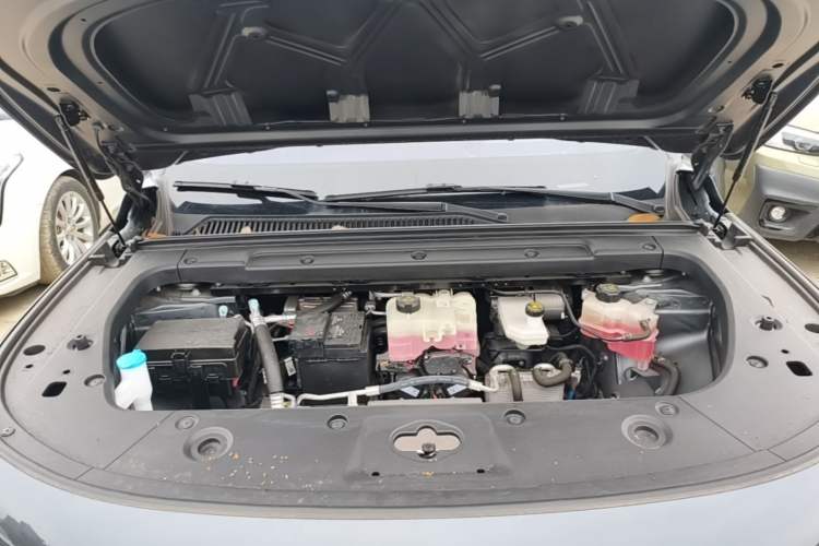 Used Leapmotor C16 2024 Pure Electric 520 Deluxe Edition Engine Bay