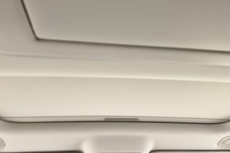 Used Leapmotor C16 2024 Pure Electric 520 Deluxe Edition Headliner
