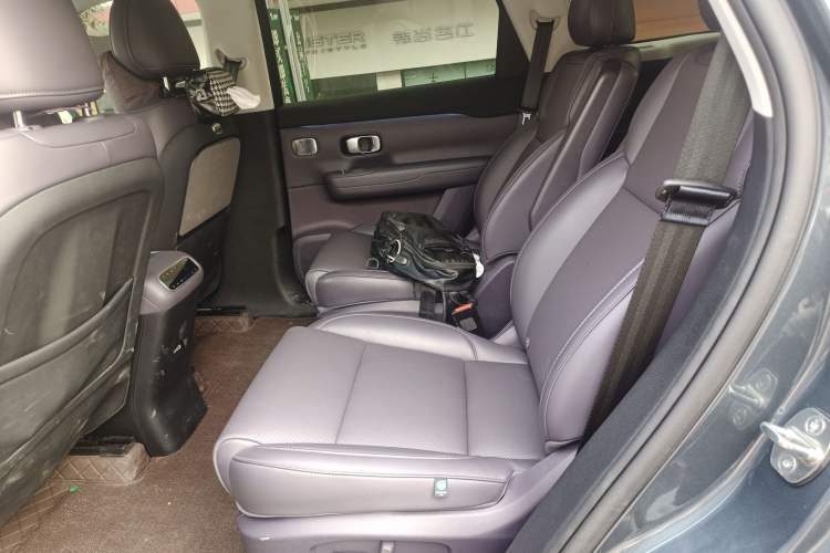 Used Leapmotor C16 2024 Range-Extended 200 Luxury Edition Left Rear Seat