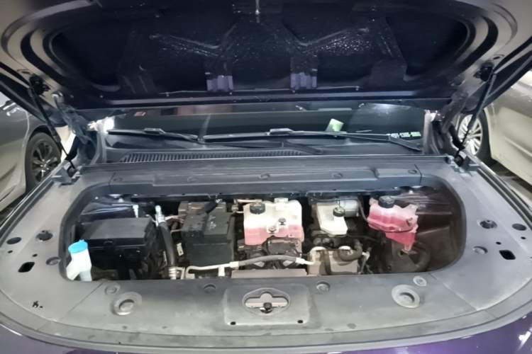 Used Leapmotor C16 2024 Pure Electric 520 Deluxe Edition Engine Bay