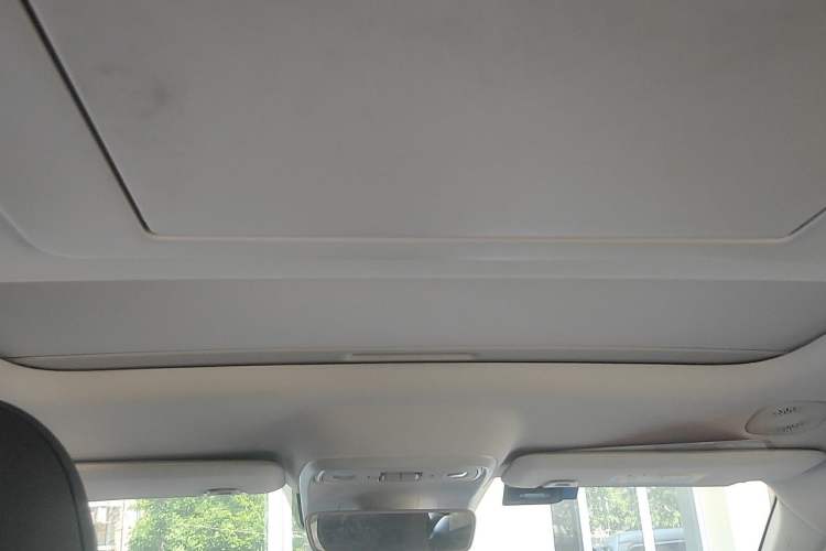 Used Leapmotor C16 2024 Pure Electric 520 Smart Edition Headliner