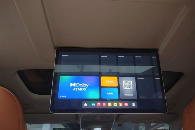 Used Leapmotor C16 2024 Pure Electric 520 Deluxe Edition Headliner