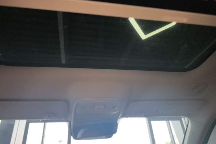 Used Leapmotor C16 2024 Pure Electric 520 Deluxe Edition Headliner