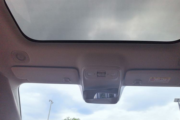 Used Leapmotor C16 2024 Pure Electric 520 Deluxe Edition Headliner