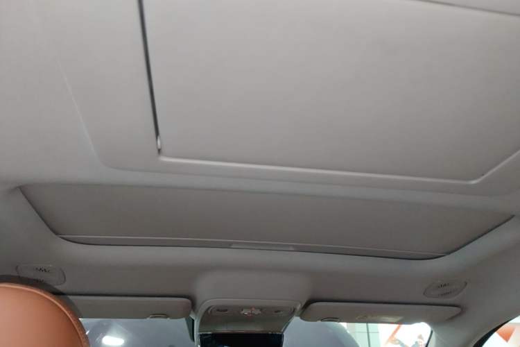 Used Leapmotor C16 2024 Range-Extended 200 LiDAR Edition Headliner