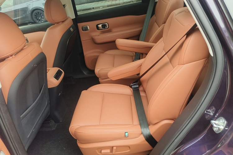 Used Leapmotor C16 2024 Range-Extended 200 Luxury Edition Left Rear Seat