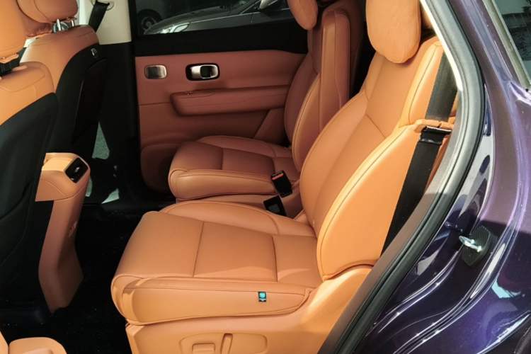 Used Leapmotor C16 2024 Range-Extended 200 Luxury Edition Left Rear Seat