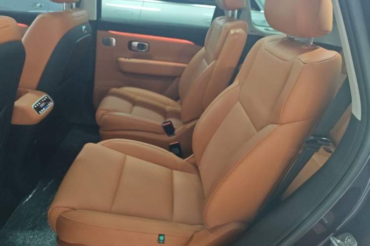 Used Leapmotor C16 2024 Range-Extended 200 Luxury Edition Left Rear Seat
