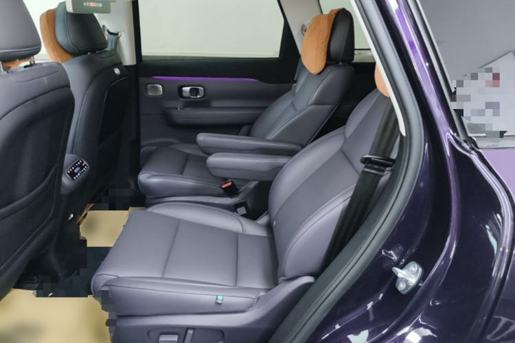 Used Leapmotor C16 2024 Range-Extended 200 Luxury Edition Left Rear Seat