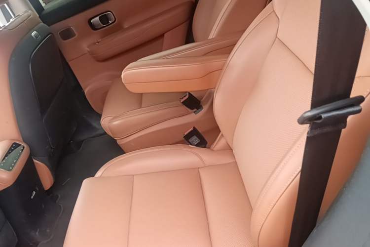 Used Leapmotor C16 2024 Range-Extended 200 Luxury Edition Left Rear Seat
