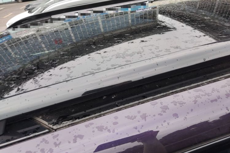 Used Leapmotor C16 2024 Range-Extended 200 LiDAR Edition Roof