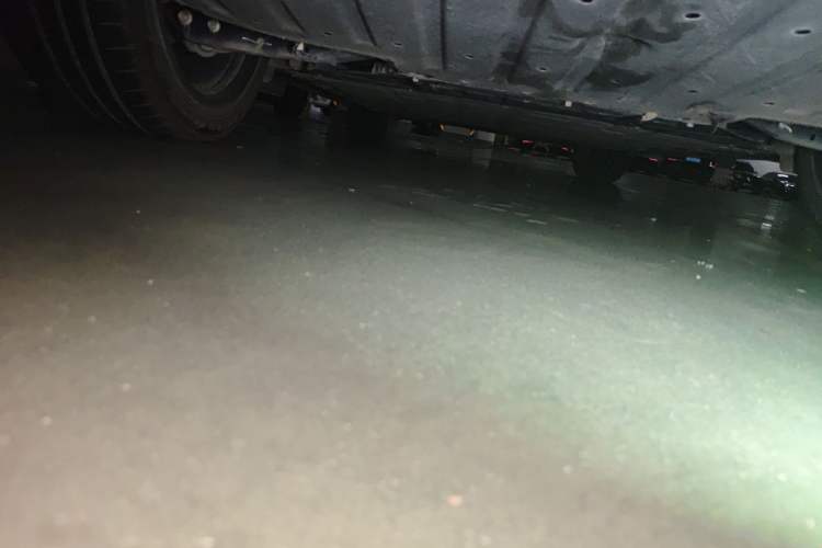 Used Leapmotor C16 2024 All-Electric 580 Luxury Edition Chassis Rear