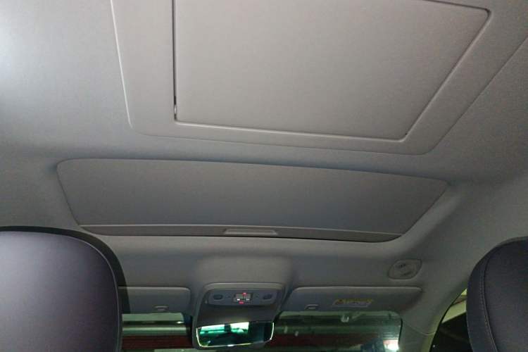 Used Leapmotor C16 2024 Pure Electric 520 Deluxe Edition Headliner