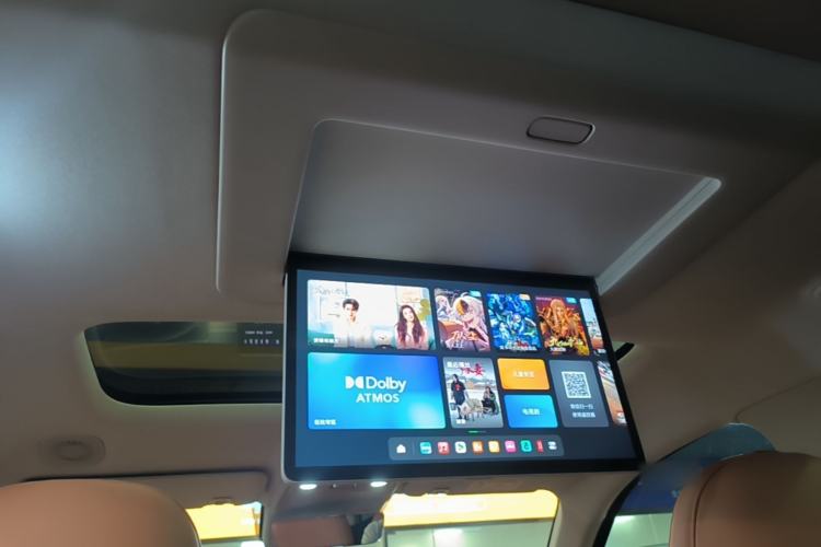 Used Leapmotor C16 2024 Range-Extended 200 Luxury Edition Headliner