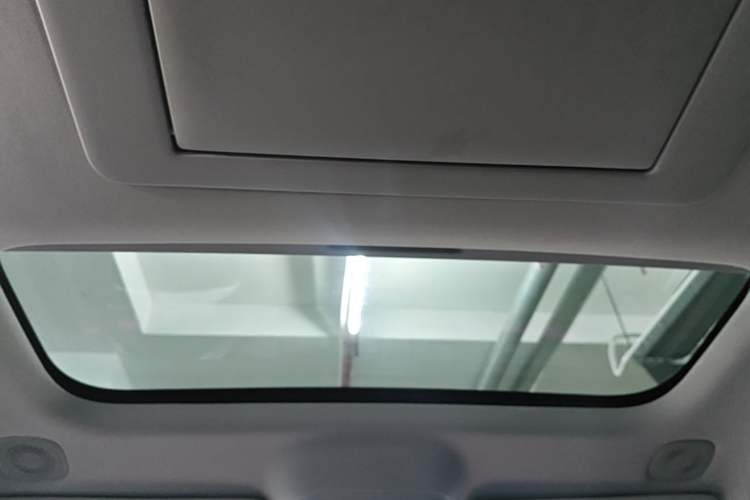Used Leapmotor C16 2024 Pure Electric 520 Deluxe Edition Headliner