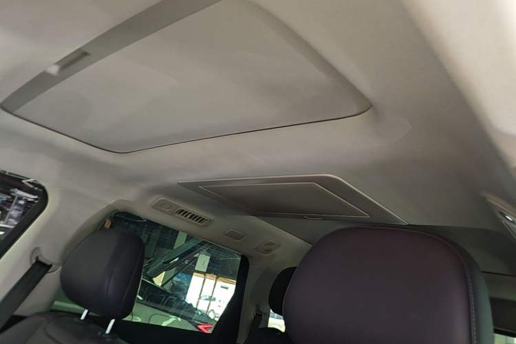 Used Leapmotor C16 2024 Pure Electric 520 Deluxe Edition Headliner