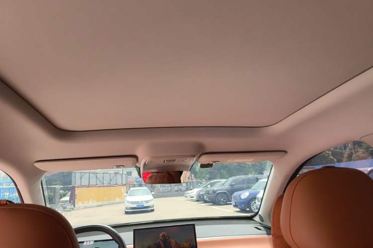 Used Leapmotor C16 2024 Range-Extended 200 Luxury Edition Headliner