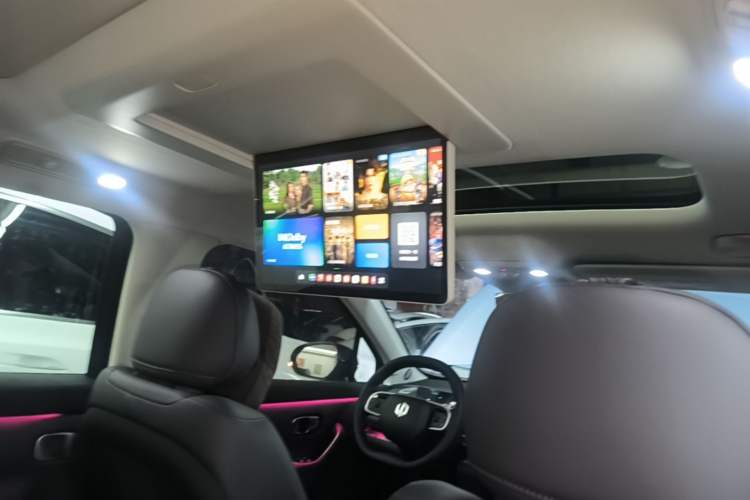 Used Leapmotor C16 2024 Range-Extended 200 Luxury Edition Headliner