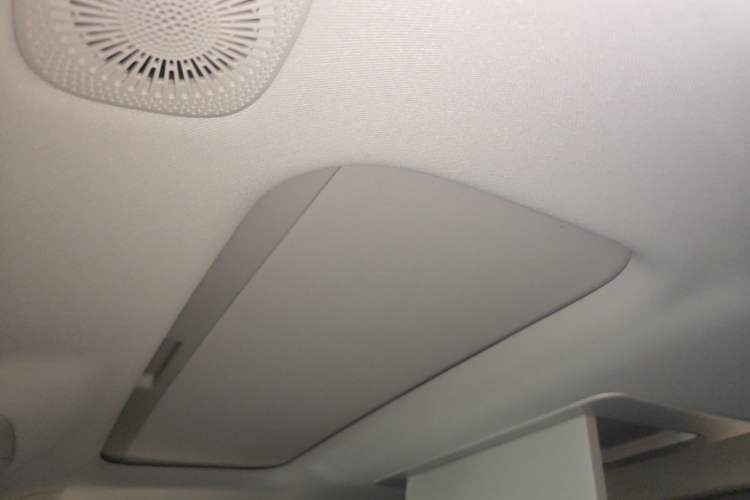 Used Leapmotor C16 2024 Pure Electric 520 Deluxe Edition Headliner