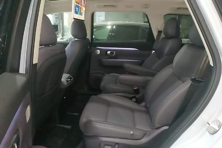 Used Leapmotor C16 2024 All-Electric 580 Luxury Edition Left Rear Seat