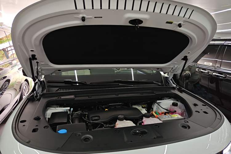 Used Leapmotor C16 2024 Range-Extended 200 LiDAR Edition Engine Bay