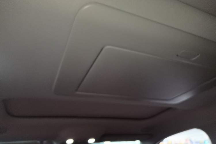 Used Leapmotor C16 2024 Range-Extended 200 Luxury Edition Headliner