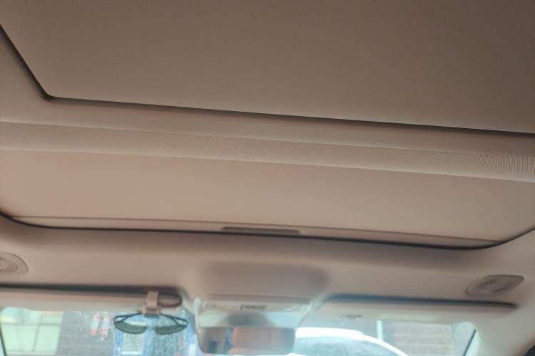 Used Leapmotor C16 2024 Range-Extended 200 Luxury Edition Headliner