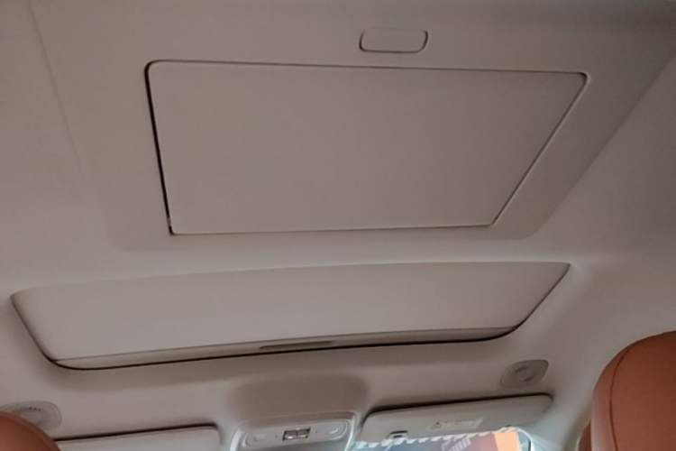 Used Leapmotor C16 2024 Pure Electric 520 Deluxe Edition Headliner