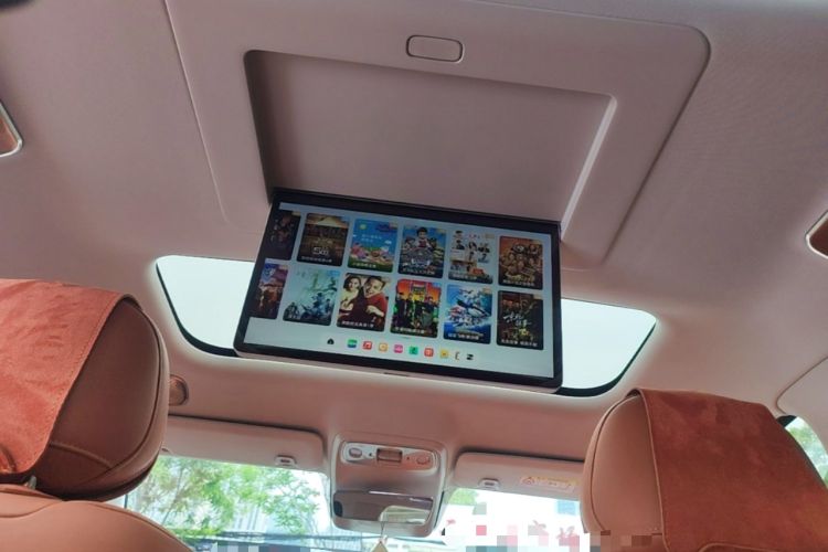 Used Leapmotor C16 2024 Range-Extended 200 Luxury Edition Headliner