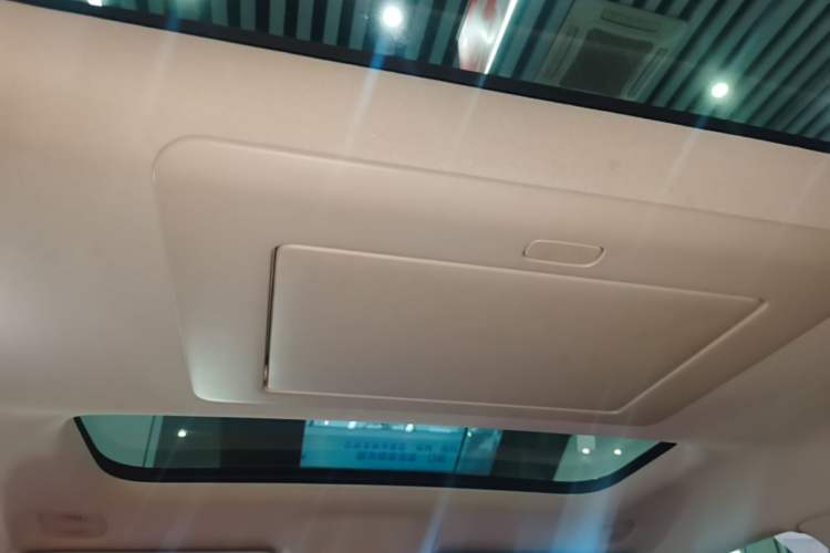 Used Leapmotor C16 2024 Range-Extended 200 Luxury Edition Headliner