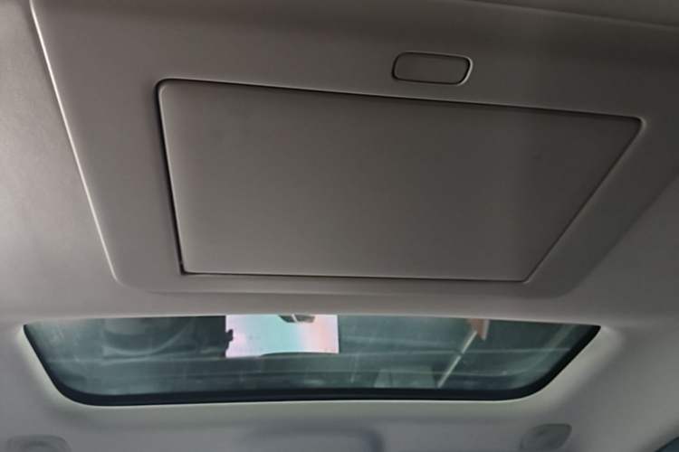 Used Leapmotor C16 2024 Pure Electric 520 Deluxe Edition Headliner