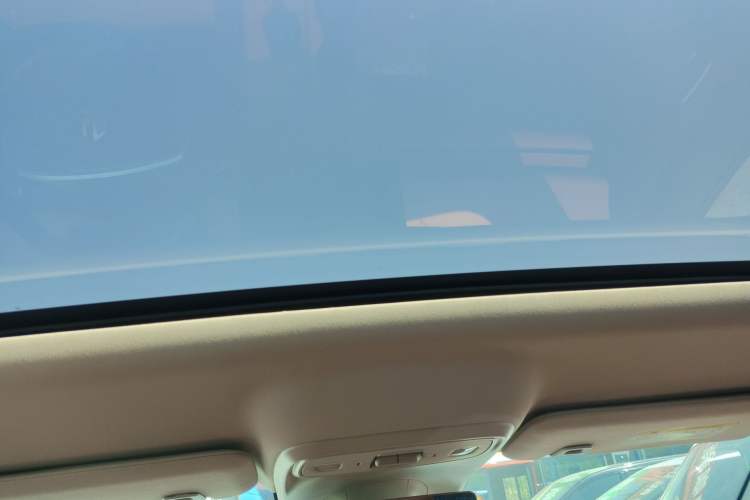 Used Leapmotor C16 2024 Pure Electric 520 Deluxe Edition Headliner