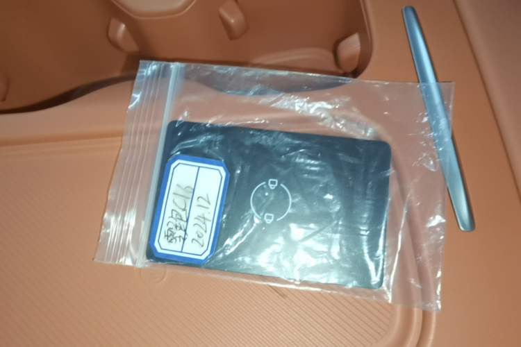 Used Leapmotor C16 2024 Pure Electric 520 Deluxe Edition Interior 1