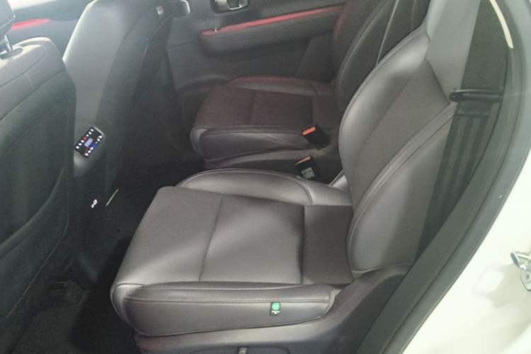 Used Leapmotor C16 2024 Range-Extended 200 Luxury Edition Left Rear Seat