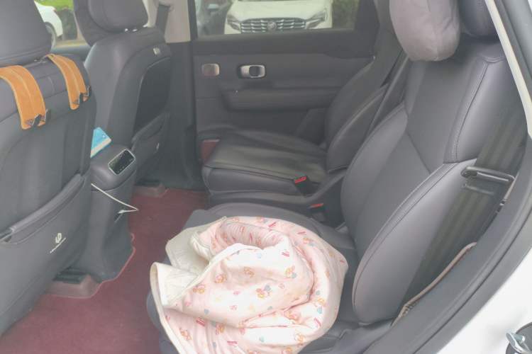 Used Leapmotor C16 2024 Range-Extended 200 Luxury Edition Left Rear Seat