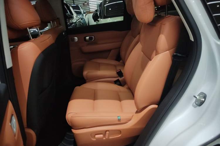 Used Leapmotor C16 2024 Range-Extended 200 Luxury Edition Left Rear Seat