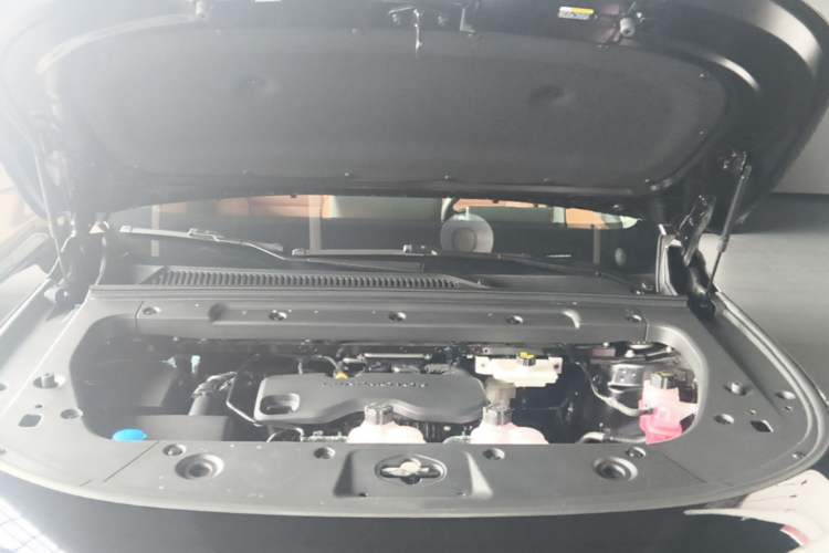 Used Leapmotor C16 2026 Extended-Range 280 LiDAR Zhizun Edition 6 Seats Engine Bay