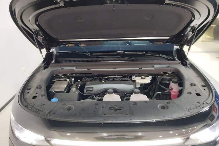 Used Leapmotor C16 2026 Extended-Range 280 LiDAR Zhizun Edition 6 Seats Engine Bay