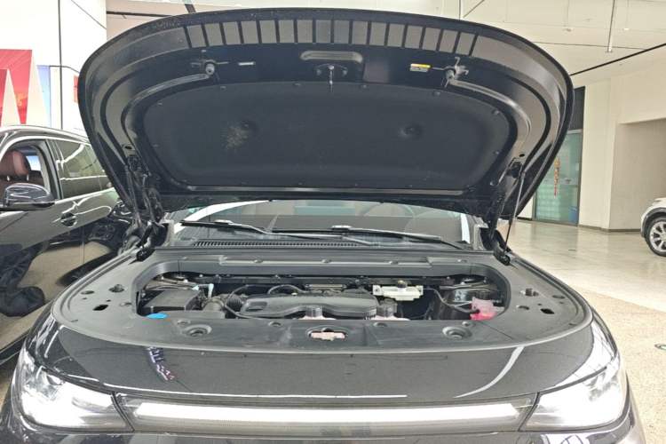 Used Leapmotor C16 2026 Extended-Range 280 LiDAR Zhizun Edition 6 Seats Engine Bay