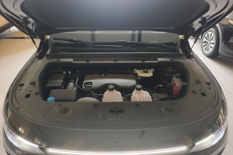 Used Leapmotor C16 2026 Extended-Range 280 LiDAR Zhizun Edition 6 Seats Engine Bay
