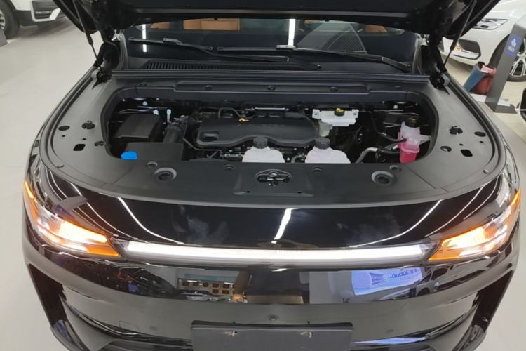 Used Leapmotor C16 2026 Extended-Range 280 LiDAR Zhizun Edition 6 Seats Engine Bay