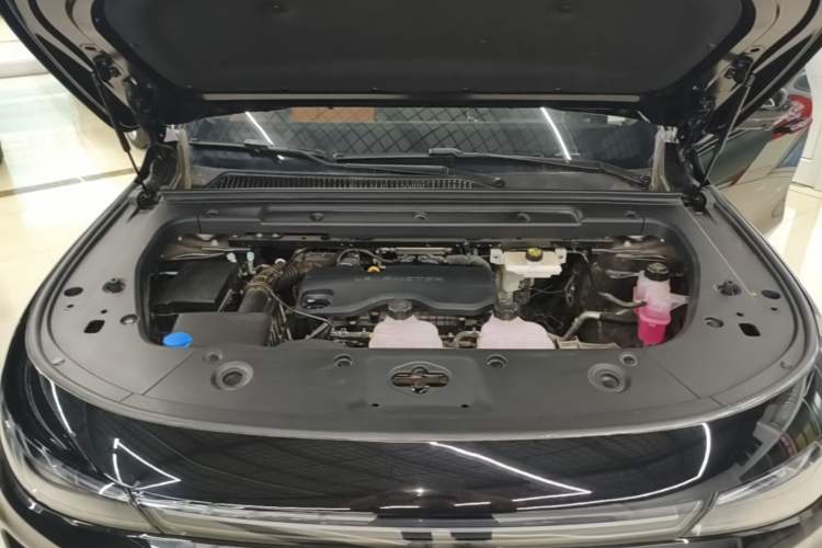 Used Leapmotor C16 2026 Extended-Range 280 LiDAR Zhizun Edition 6 Seats Engine Bay