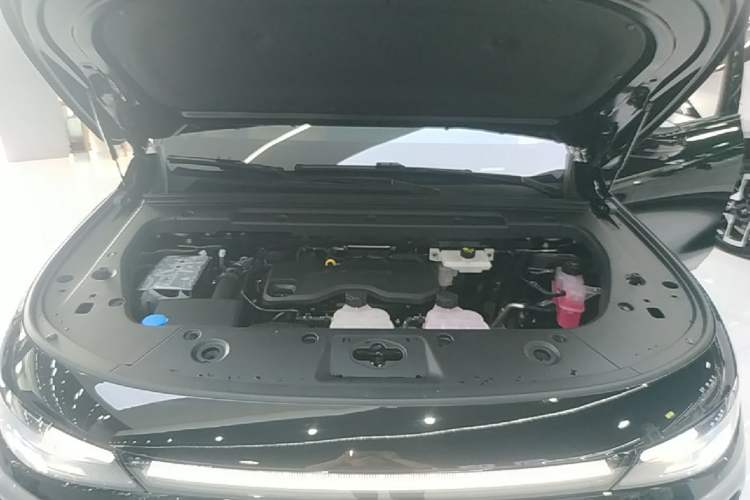 Used Leapmotor C16 2026 Extended-Range 280 LiDAR Zhizun Edition 6 Seats Engine Bay