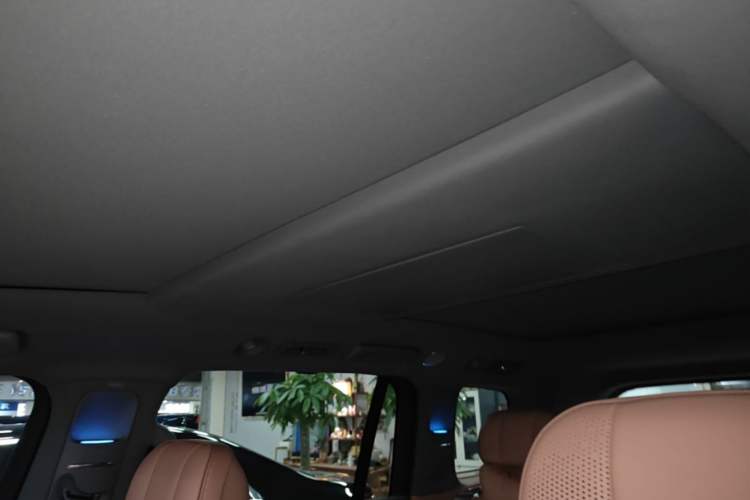 Used Leapmotor D19 2026 Pure Electric 720 Smart Luxury Edition Six-Seat Headliner