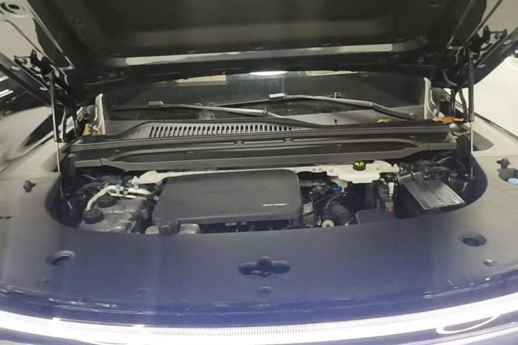 Used Leapmotor D19 2026 Range-Extended 500 Smart Luxury Edition Seven-Seat Engine Bay
