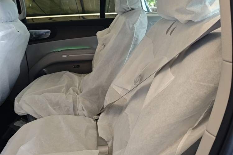 Used Leapmotor D19 2026 Range-Extended 500 Smart Luxury Edition Six-Seat Left Rear Seat