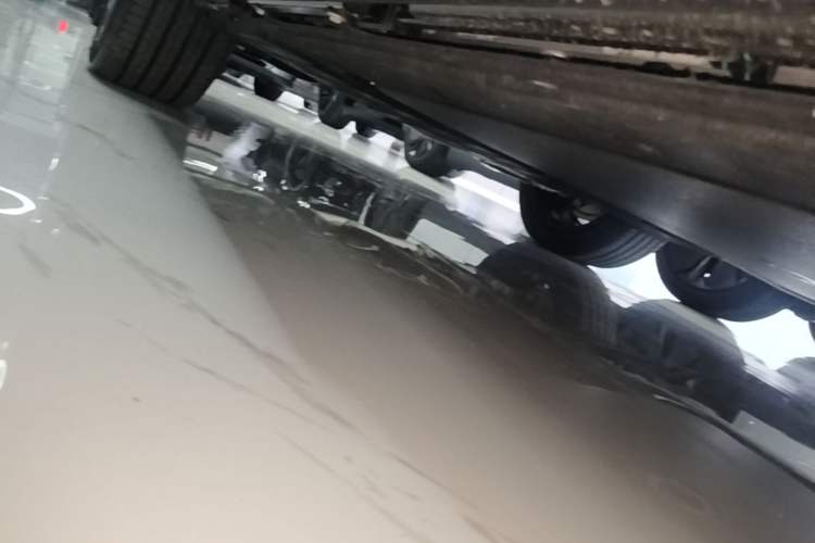 Used Leapmotor D19 2026 Range-Extended 500 Smart Luxury Edition Six-Seat Right Side Sill