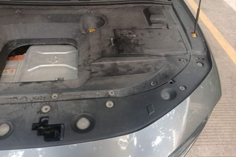 Used Leapmotor S01 2019 380 Pro Engine Bay Left